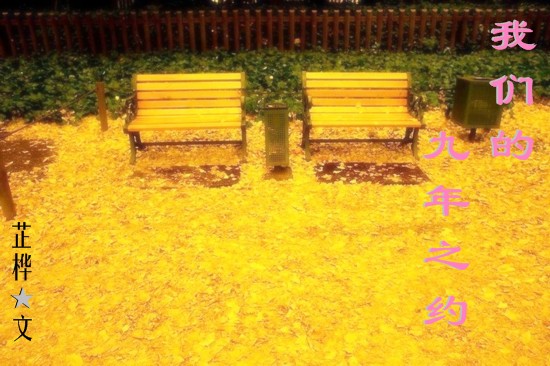 ���ǵľ���֮Լ����