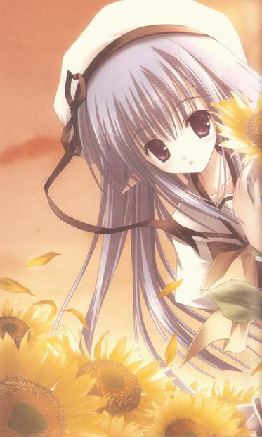 圣婴贵族学院封面