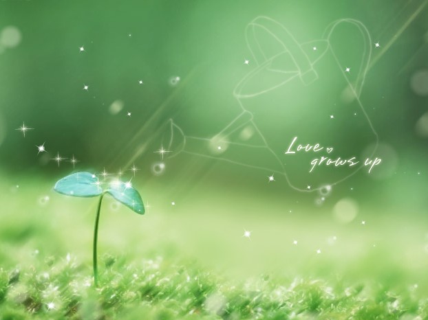 雨季咏叹调封面