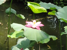 ��˾����Щ�¶�