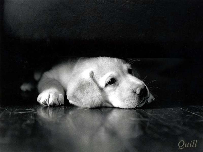 �����ŷ���