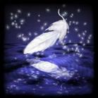 ͨ�������Լ��