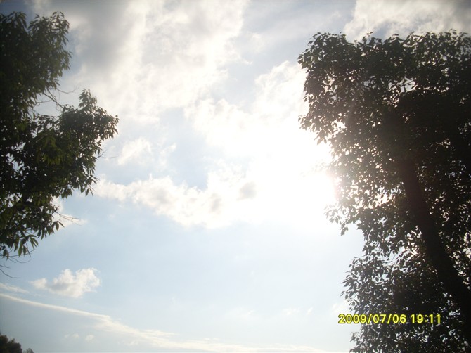 ��ָ����