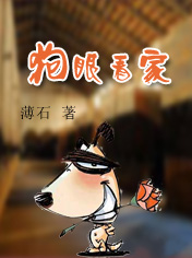狗眼看家封面