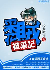 采花贼被采记封面