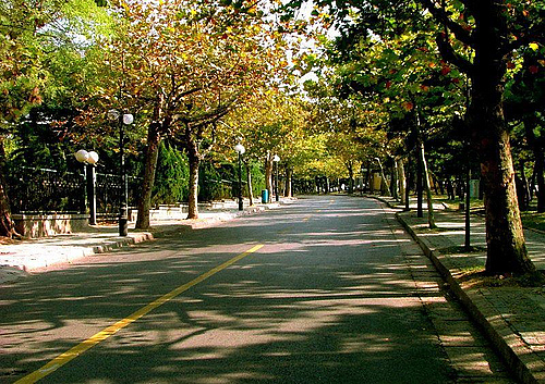 1995-2005����δ��(�°����