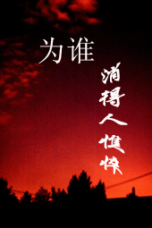 为谁消得人憔悴封面