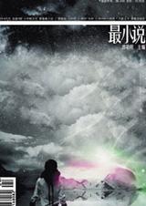 ��С˵08��������