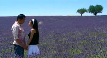 ޹�²ݵ�ף��