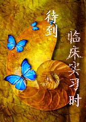 �����ٴ�ʵϰʱ