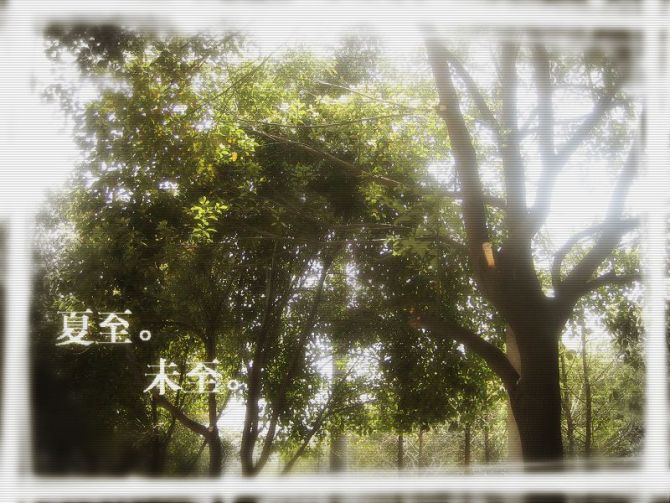 ����δ��(ԭ��)