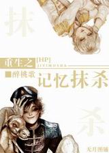 hp重生之记忆抹杀封面