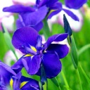 ����Ƿ��˭�Ŀ���