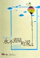 永不着陆的爱封面