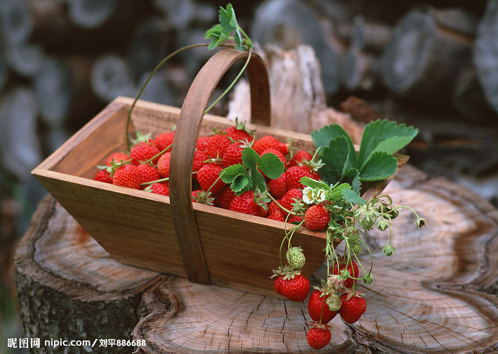 ��ɲ�ŮҪ�������