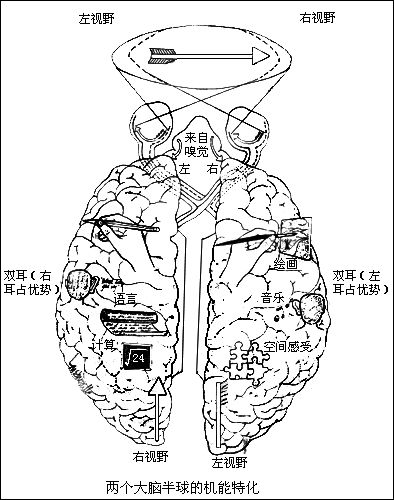 �����Ұ���ĺۼ�