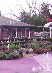 ǳǳ�������