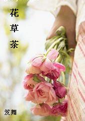 ���ݲ����