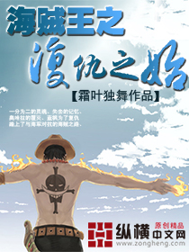 海贼王之复仇之始封面