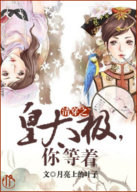 清穿之皇太极,你等着!封面