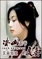 冰山王爷的废妾封面