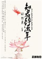 知君醉流年封面