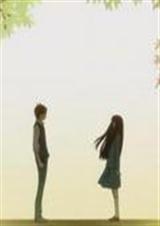 ��·���˵İ�������