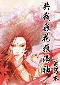 共我飞花携满袖封面