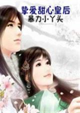 挚爱甜心皇后封面