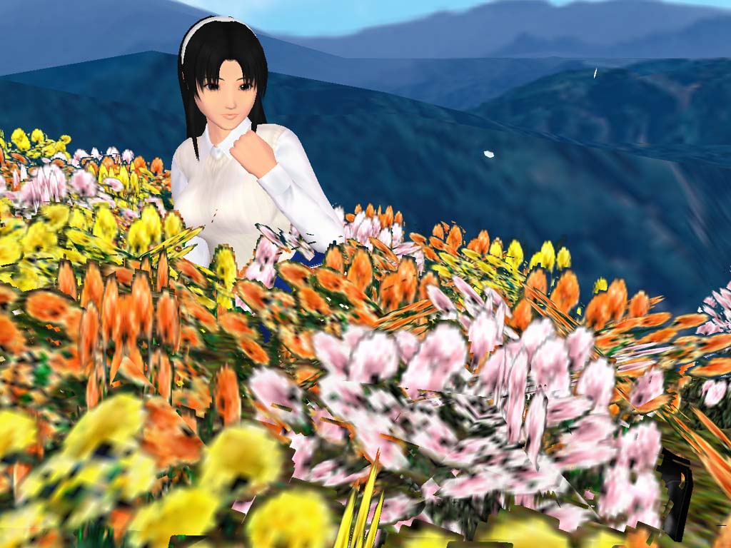 ���ĳ������