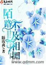 陌路不及相拥封面