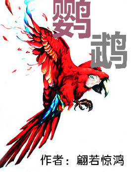 鹦鹉(完结)封面