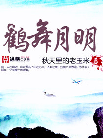 鹤舞月明封面