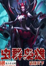 ��Ⱥ���۷���