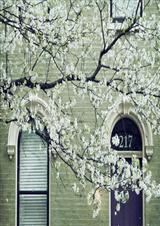 Ը�㱻�����������Դ�����