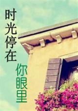 ʱ��ͣ��������