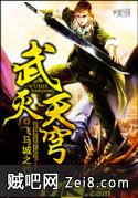 武灭天穹封面
