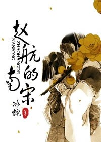 赵航的南宋封面