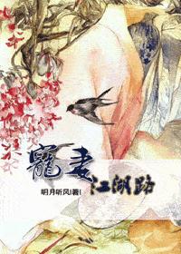 宠妻江湖路封面