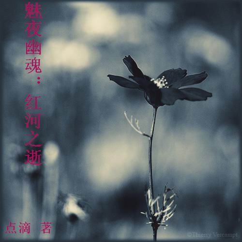 ��ҹ�Ļ�:���֮��