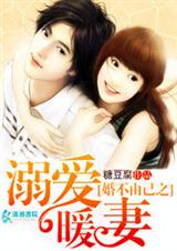 婚不由己之溺爱暖妻-小妻诱人封面