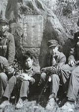 һ��Խս�ϱ��ı�Ư����