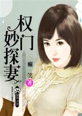 权门妙探妻封面
