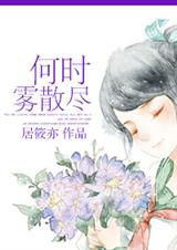 何时雾散尽封面