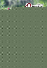 今生遇到你封面