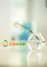 С������:�Ϲ��ԹԾ��ܷ���