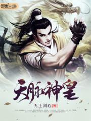 天脉神皇封面
