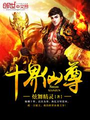 ʮ������