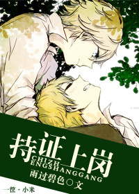 持证上岗-矫枉过正封面