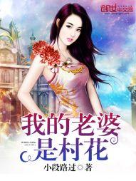 我的老婆是村花封面